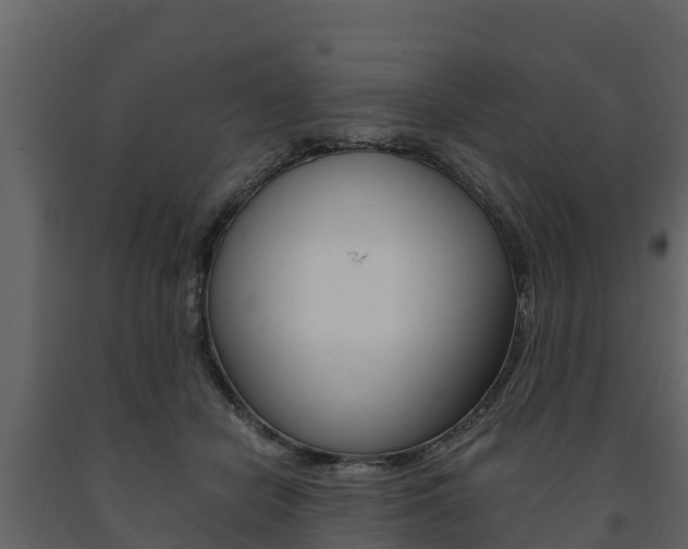 X0000091710462200708241000