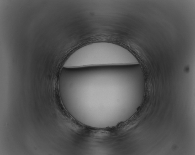 X0000091710463200708241000