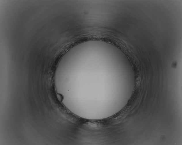 X0000091710464200708241000
