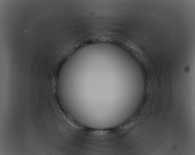 X0000091710465200708241000