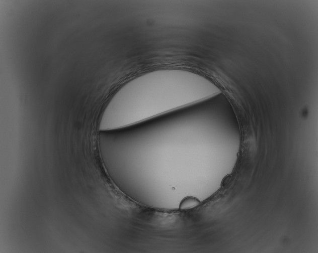 X0000091710469200708241000