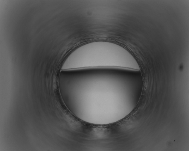 X0000091710470200708241000