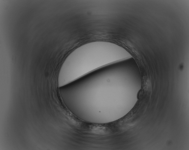 X0000091710471200708241000