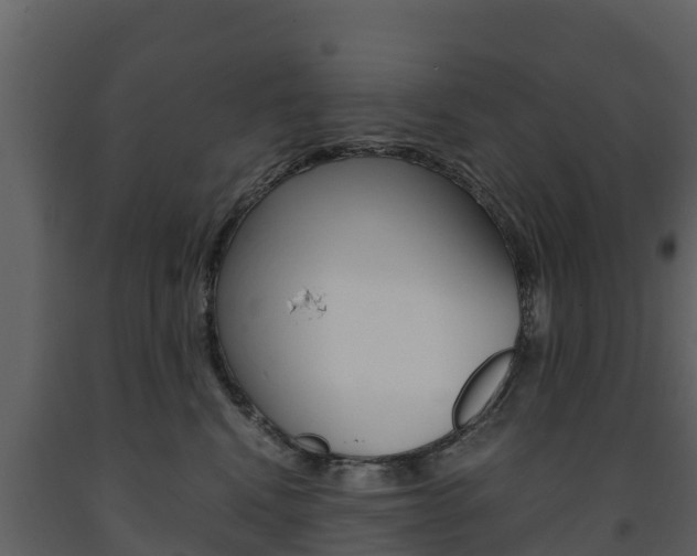 X0000091710472200708241000