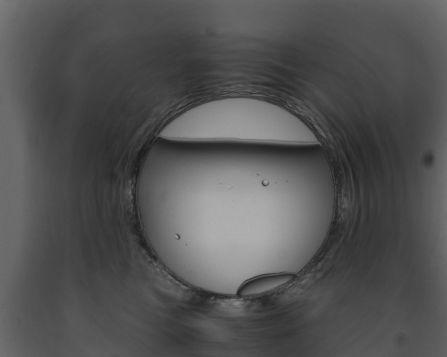 X0000091710473200708241000