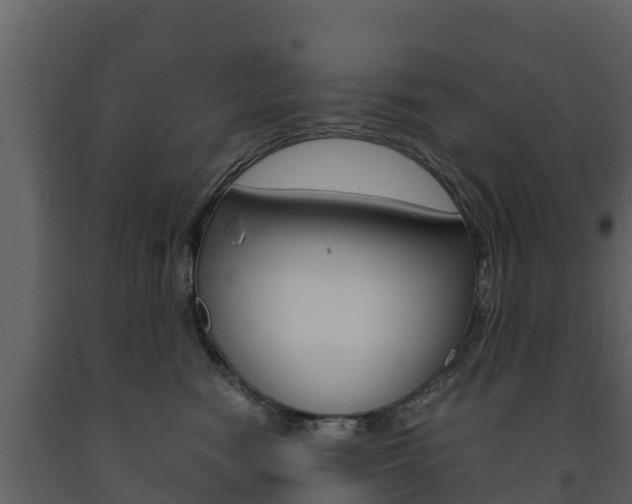 X0000091710474200708241000