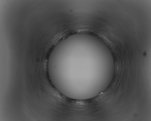 X0000091710475200708241001