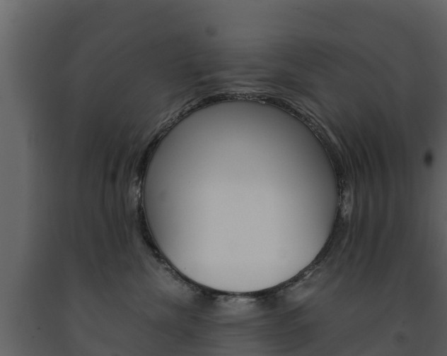 X0000091710476200708241001