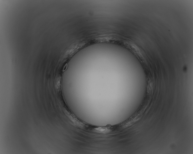 X0000091710477200708241001