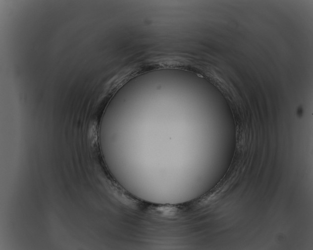 X0000091710478200708241001