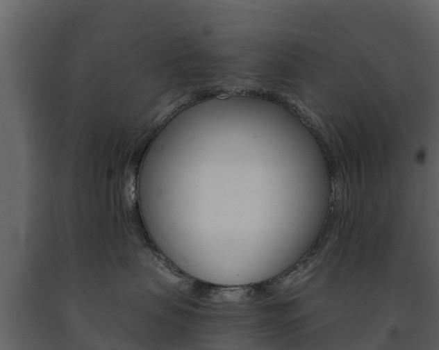 X0000091710479200708241001