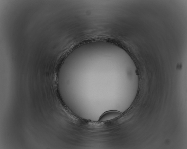X0000091710480200708241001