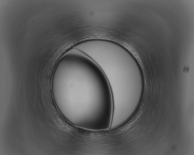 X0000091710481200708241000