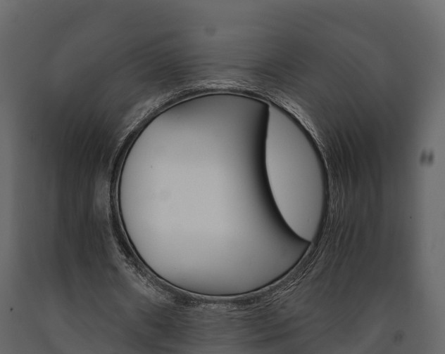 X0000091710482200708241000