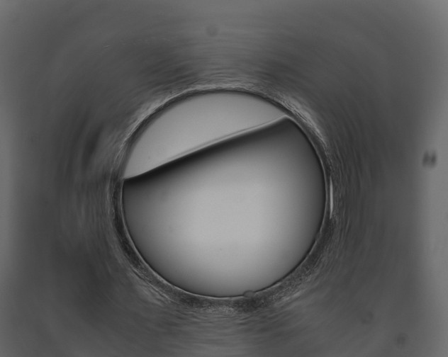 X0000091710483200708241000