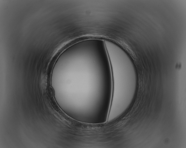 X0000091710484200708241000