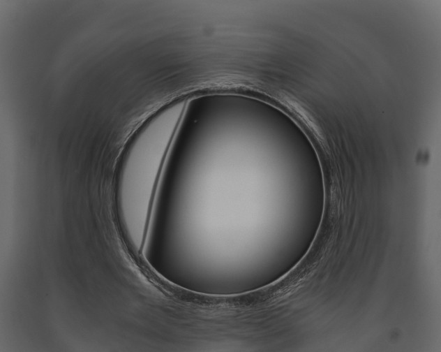 X0000091710485200708241000