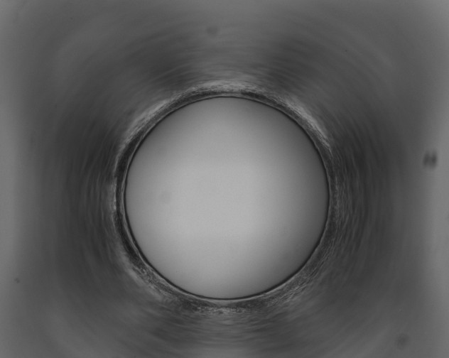 X0000091710486200708241000