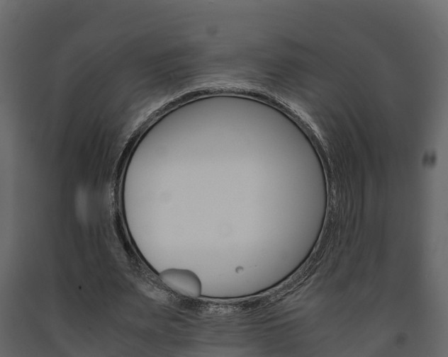 X0000091710487200708241000