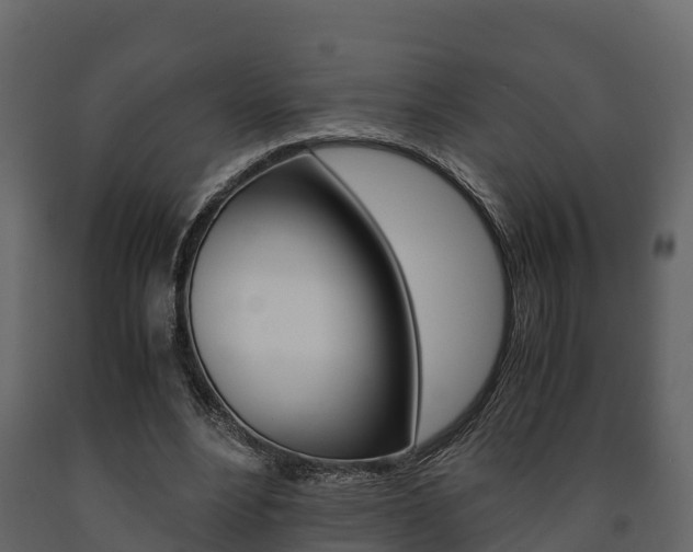 X0000091710488200708241000