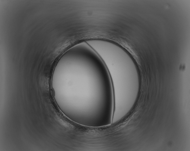 X0000091710489200708241000