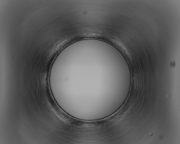 X0000091710490200708241000
