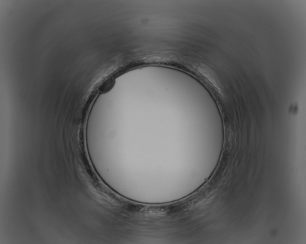 X0000091710491200708241000