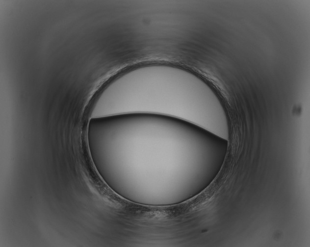 X0000091710492200708241000
