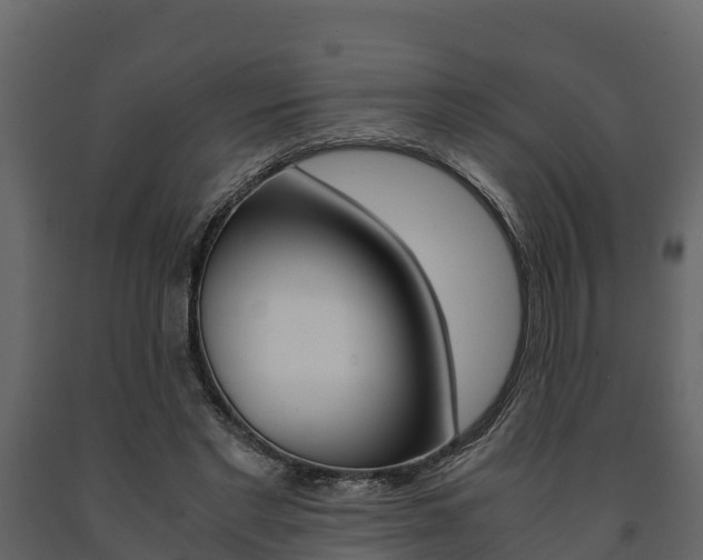 X0000091710493200708241000