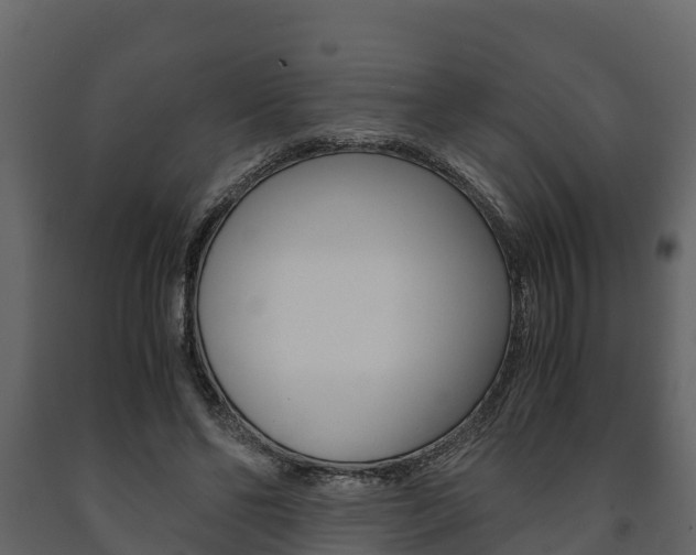 X0000091710494200708241000