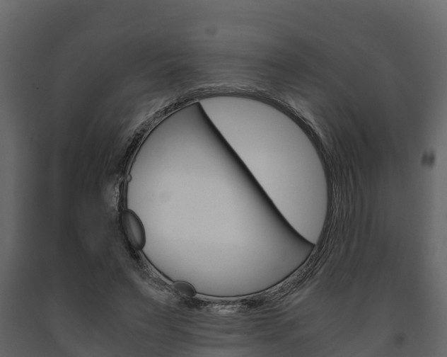 X0000091710495200708241000