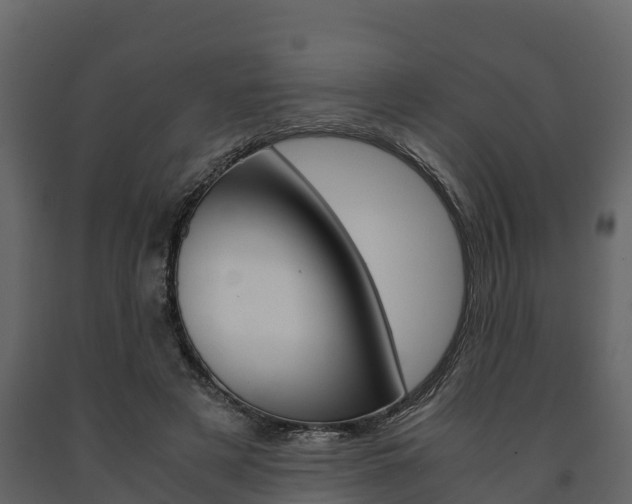 X0000091710497200708241000