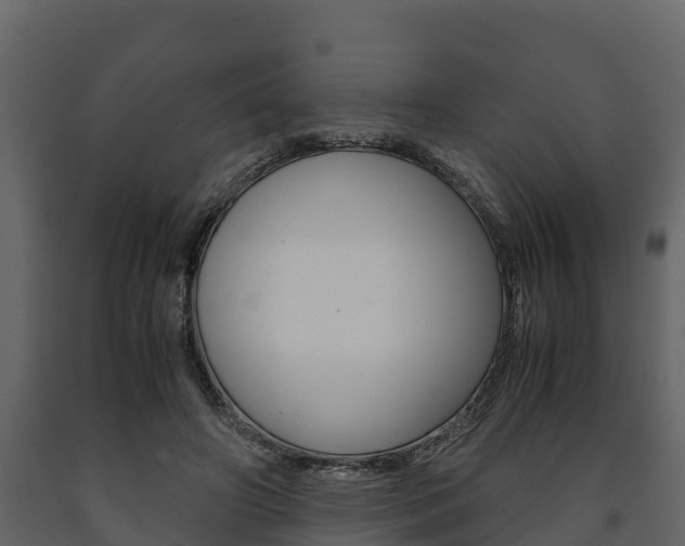 X0000091710498200708241000