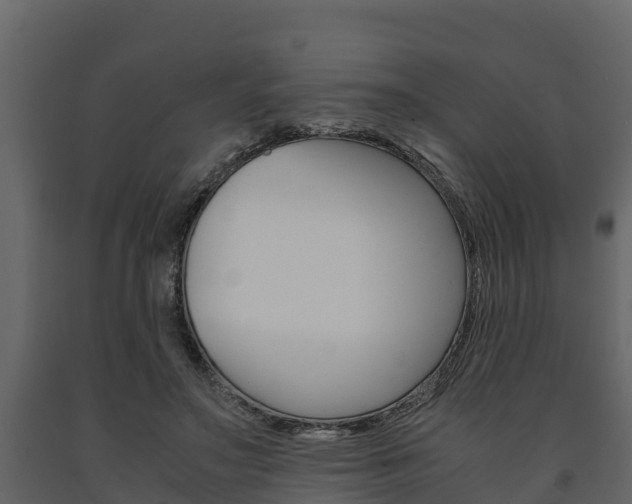 X0000091710499200708240959