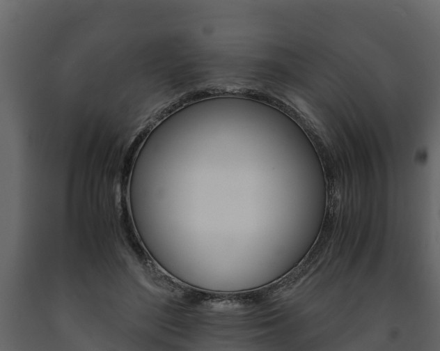 X0000091710500200708240959