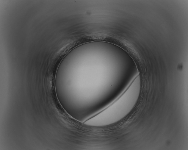 X0000091710501200708240959