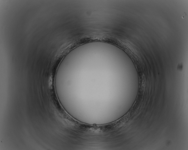 X0000091710502200708240959