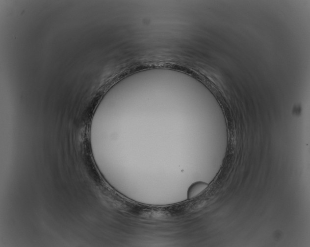 X0000091710503200708240959