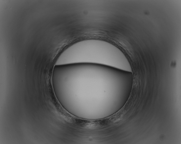 X0000091710504200708240959