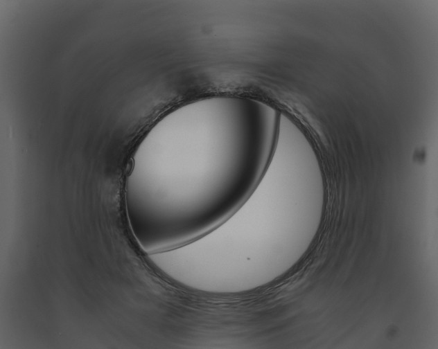 X0000091710505200708240959