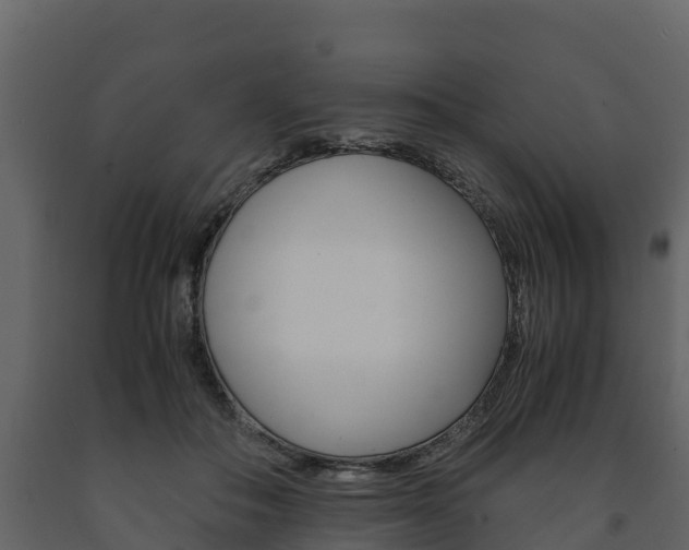 X0000091710506200708240959