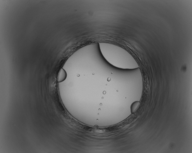 X0000091710507200708240959