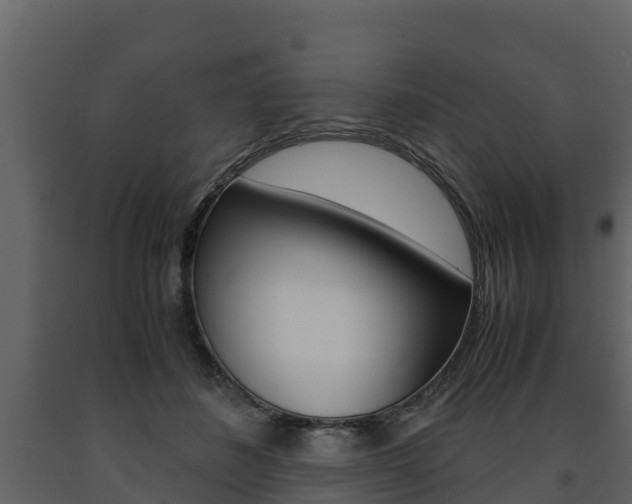 X0000091710508200708240959