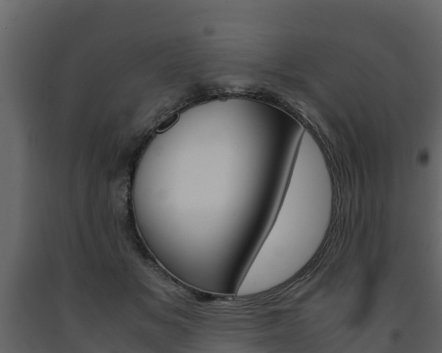 X0000091710509200708240959