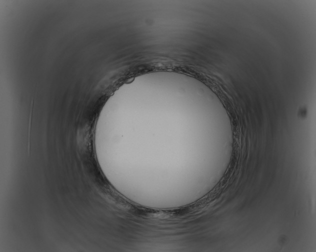 X0000091710511200708240959