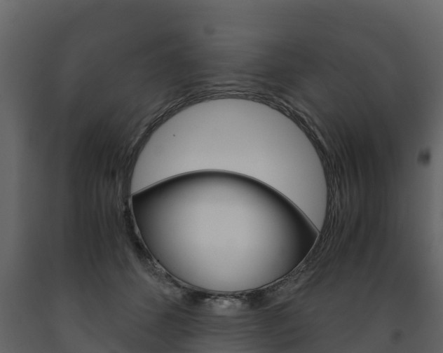 X0000091710512200708240959