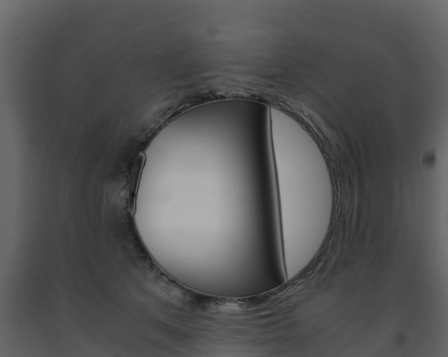 X0000091710513200708240959