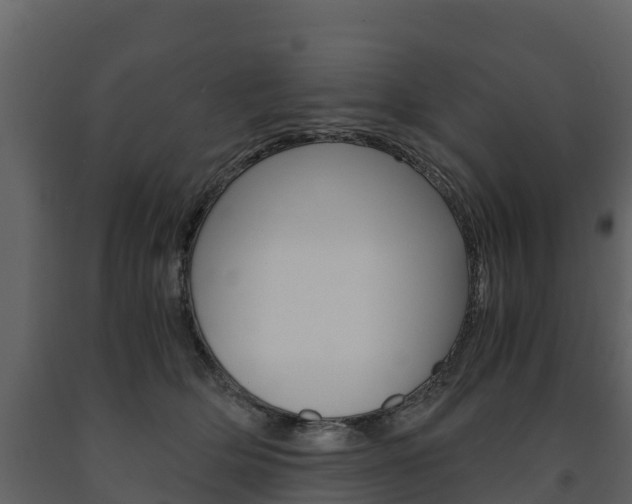 X0000091710514200708240959