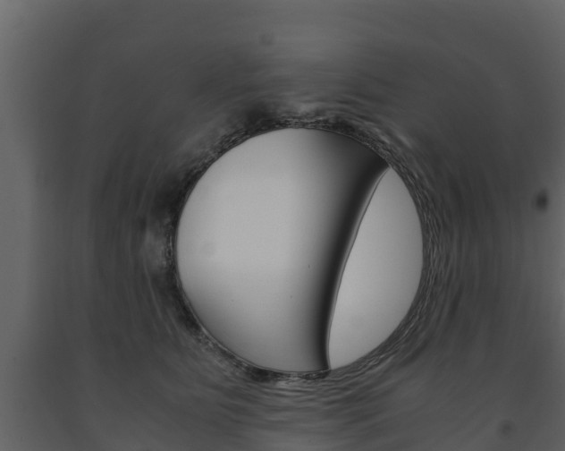 X0000091710515200708240959