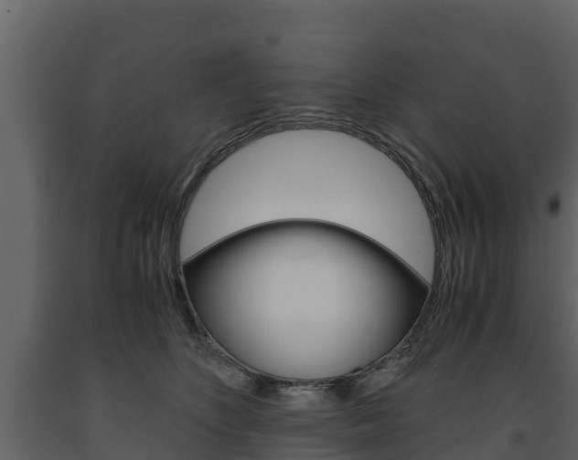 X0000091710516200708240959